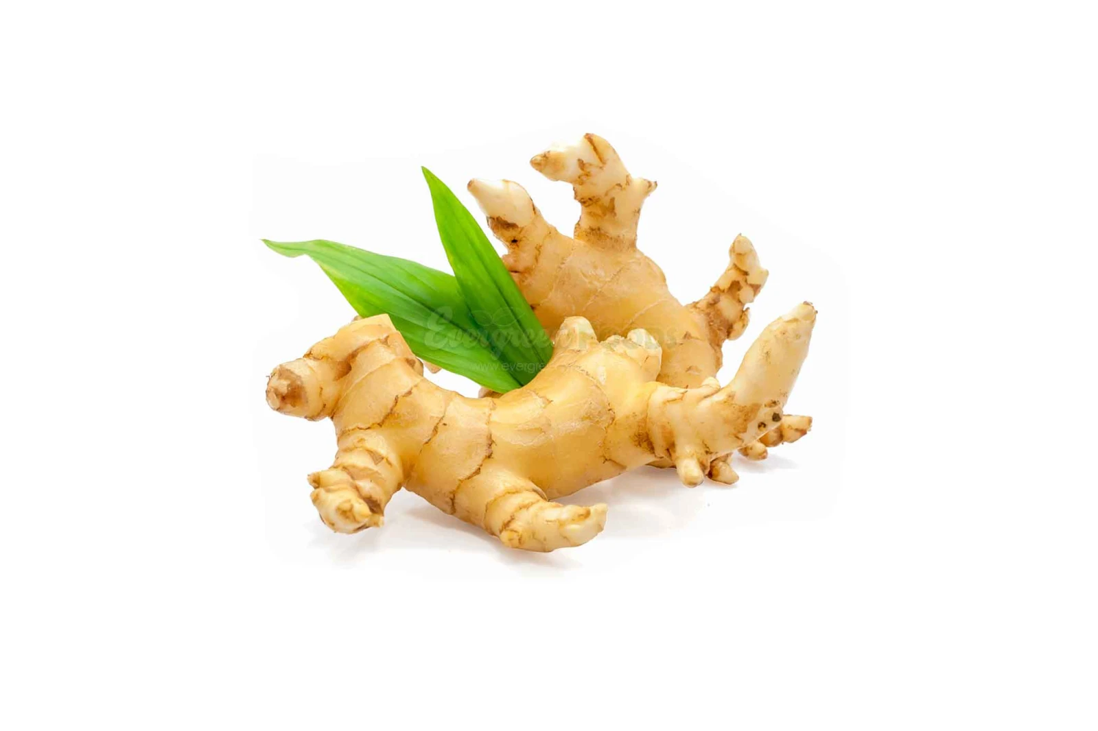 Fresh Organic Ginger