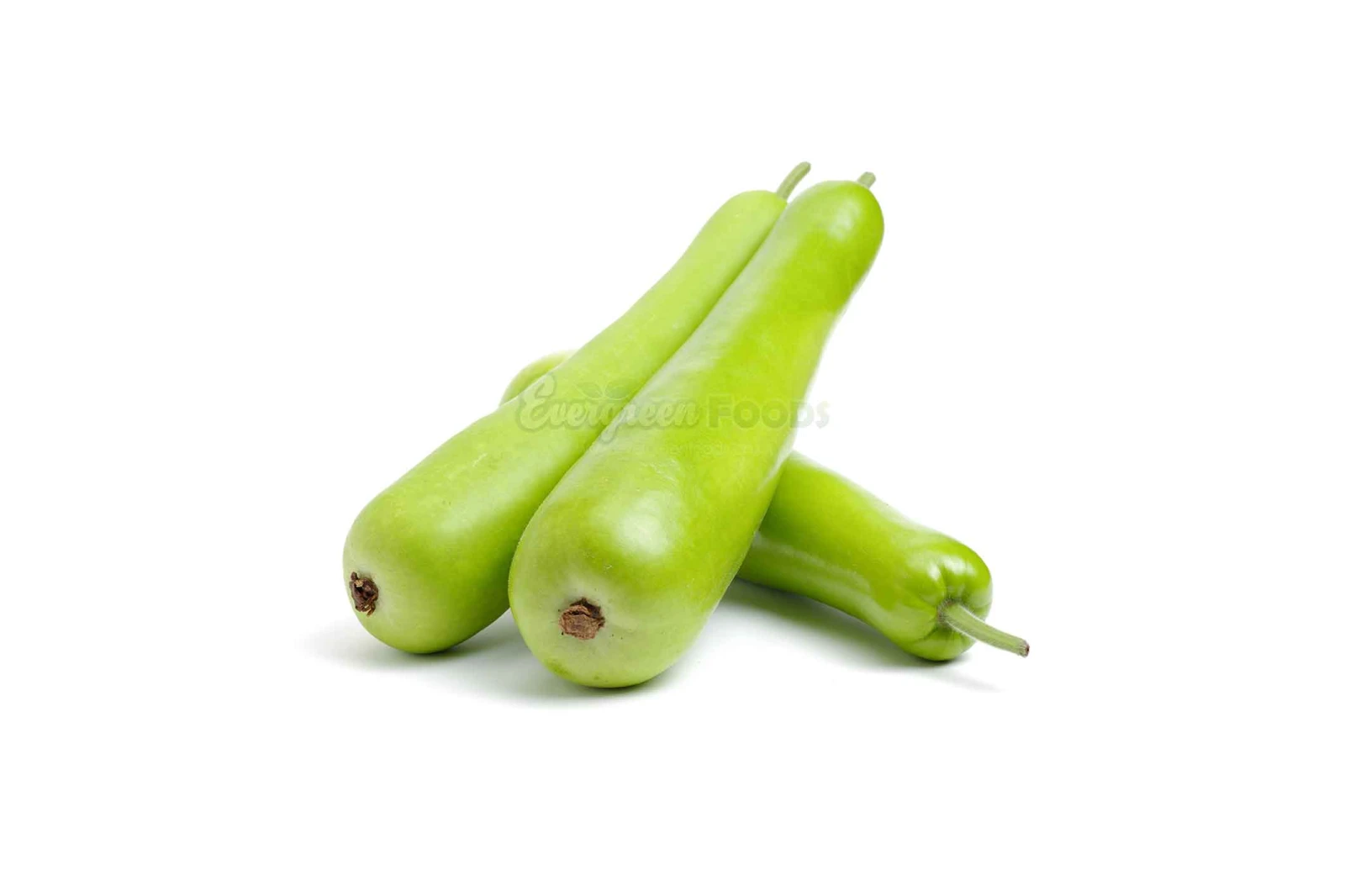 Long Dudhi – Bottle Gourd