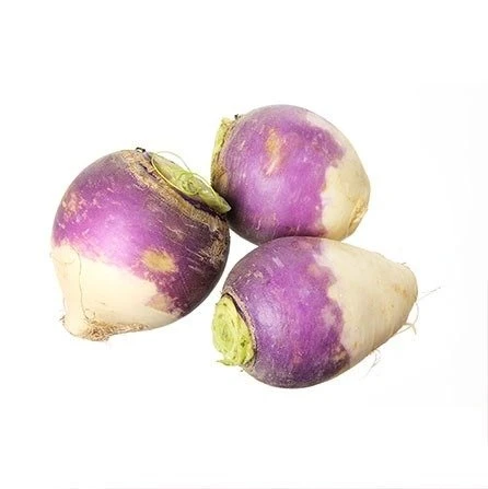 Turnip
